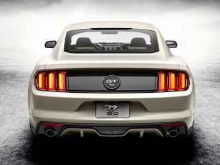 Ford Mustang GT 50 Year Limited Edition фото